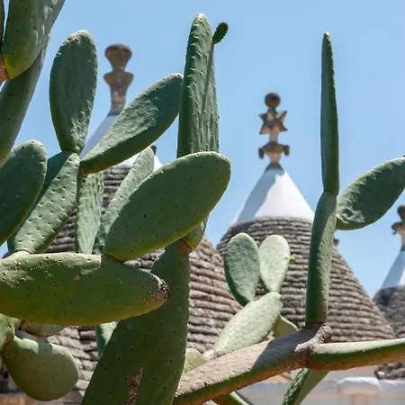 Affittacamere Trulli Boccadoro